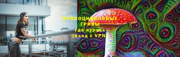 МДПВ Абинск