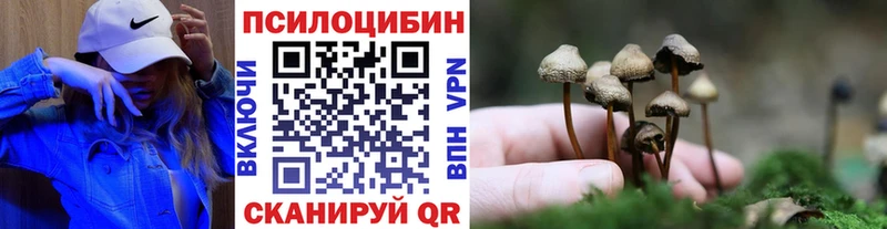 Галлюциногенные грибы мухоморы  Лосино-Петровский 